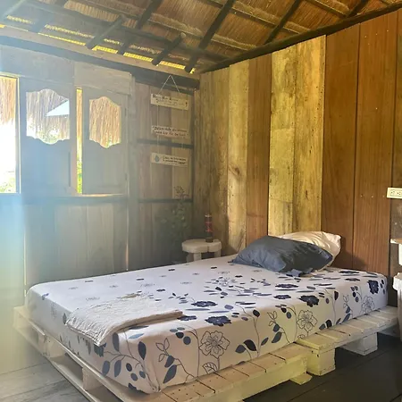 Punta Arena Ecohostal And Ecofit - Your Eco-friendly Oasis 01 Pensión